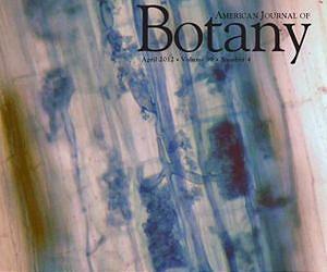 Genetically modified corn affects its symbiotic relationship with non-target soil organisms