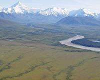 Warm water is mixing up life in the Arctic