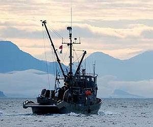 Ireland, Scotland decry EU fish quota cuts