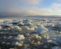 Arctic Pollution's Surprising History