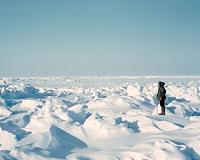 Solving the problem of sea ice thickness distribution using molecular concepts