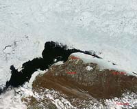 Massive emissions cuts can save Arctic ice: study
