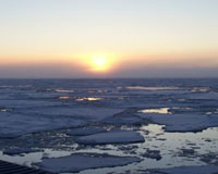 Older Arctic Sea Ice Replaced By Young, Thin Ice