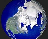 New laws needed in changing polar regions: experts