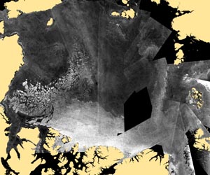 NASA Study Quantifies Role Of Melt In Loss Of Old Arctic Sea Ice