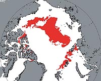 Arctic Sea Ice Decline Shakes Up Ocean Ecosystems