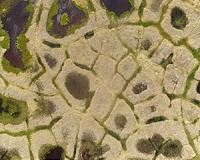 Degrading ice wedges reshape Arctic landscape