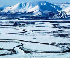 Study: Wrong diet doomed 1912 polar try