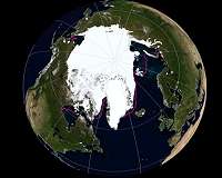Sea ice hit record lows in November