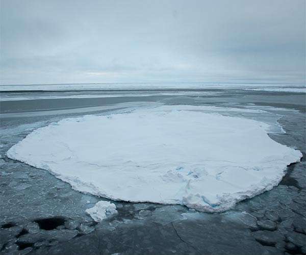 Arctic rainfall could dominate snowfall earlier than expected: study