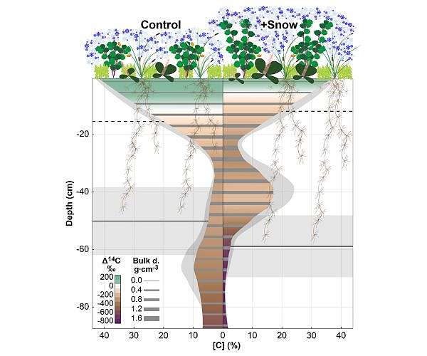 UC Irvine scientists say deepening Arctic snowpack drives greenhouse gas emissions