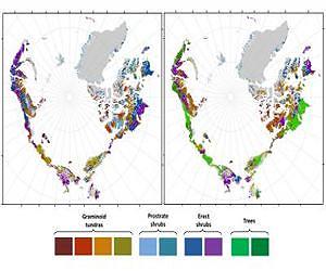 New Models Predict Dramatically Greener Arctic in the Coming Decades