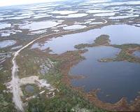 Unexpected life found at bottom of High Arctic lakes