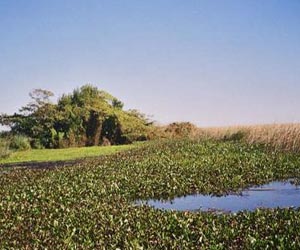 Argentine Supreme Court freezes border river dam plans