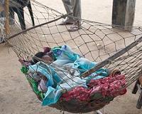 Access to electricity is linked to reduced sleep