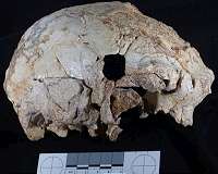 400,000-year-old fossil human cranium is oldest ever found in Portugal