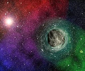 Black Holes as Particle Detectors