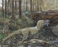 New evidence for combat and cannibalism in tyrannosaurs