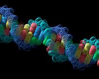 The next step in DNA computing: GPS mapping