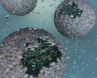 IU scientists create 'nano-reactor' for the production of hydrogen biofuel