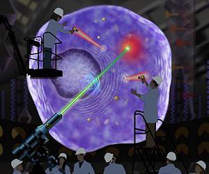 Diamonds and Gold Let Scientists Measure Temperate Inside Living Cells