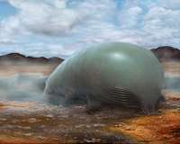 Possibility of Silicon-Based Life Grows