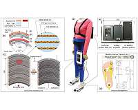 Artificial muscles power up with new gel-based robotics