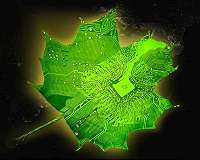It's givin' me excitations: U-M study uncovers first steps of photosynthesis