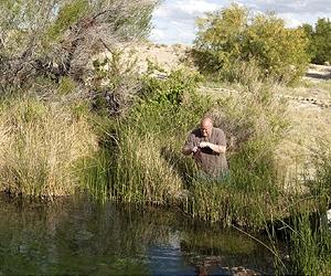 Oasis Near Death Valley Fed By Ancient Aquifer Under Nevada Test Site