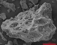 Innovative way to understand nature of an entire tiny particle