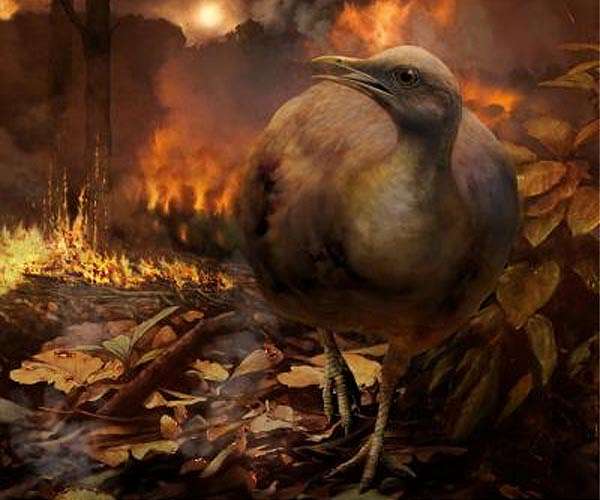 Wildfires may have sparked ecosystem collapse during Earth's worst mass extinction