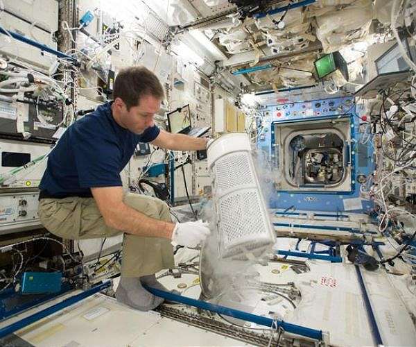 Space travel depletes red blood cells and bone, but fats may help