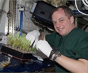 Astronaut Zucchini - A Tradition of Sprouts in Space