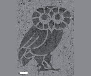 Rice technique points toward 2-D devices