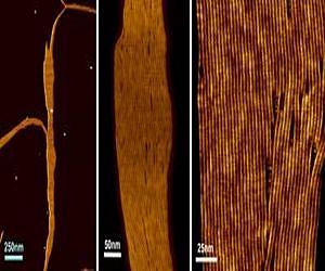 Man-made pores mimic important features of natural pores