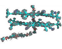 Combined disciplines, computational programs determine atomic structure