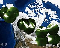 Commercial Space Operators To Canada: We're Here, and We can Help