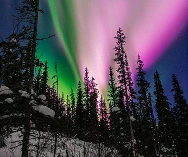 Predicting and Mitigating the Impact of Auroras on Earth's Infrastructure