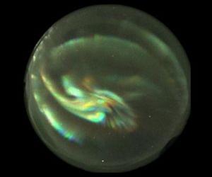 First-ever hyperspectral images of Earth's auroras