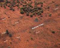 Australia's ancient geology controls the pathways of modern earthquakes