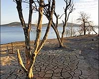 Australian wildfire ferocity linked to climate change: experts