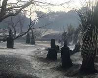 Downpours to end Australia bushfires within days