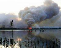 Aussie troops fan out as govt sets $1.4bn for 'long road' after fires