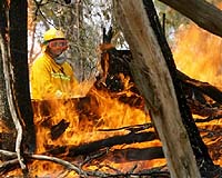 Australia battles wildfires as threat eases: officials