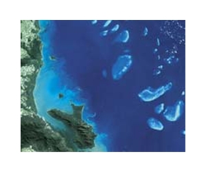 Climate change puts Australian reef on 'knife edge'
