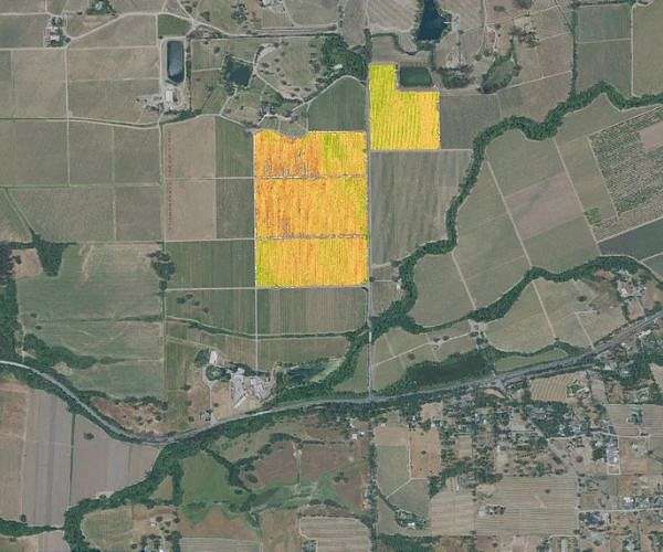 ASII launches national geospatial digital twin for Australian agriculture
