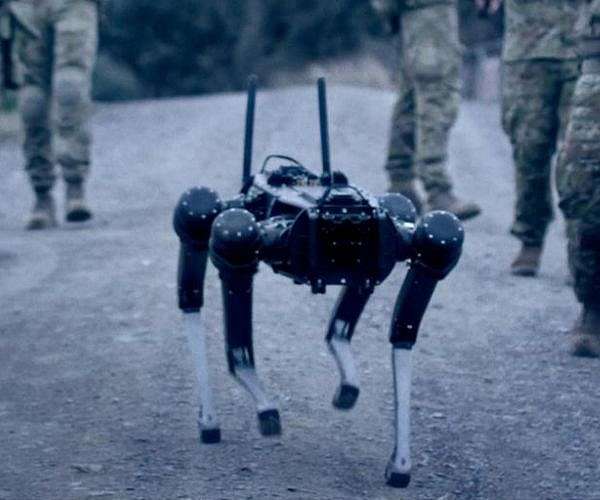 A four-legged robotic system for playing soccer on various terrains