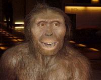 Face of Lucy's ancestors revealed by 3.8-million-year-old hominin skull in Ethiopia