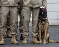 The changing role of Europe's military