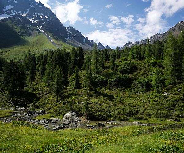 Changing economy and climate hit Austria's Alpine pastures